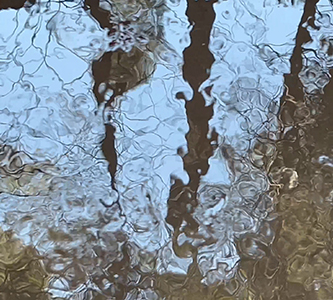 Echoes of light in flowing silences
